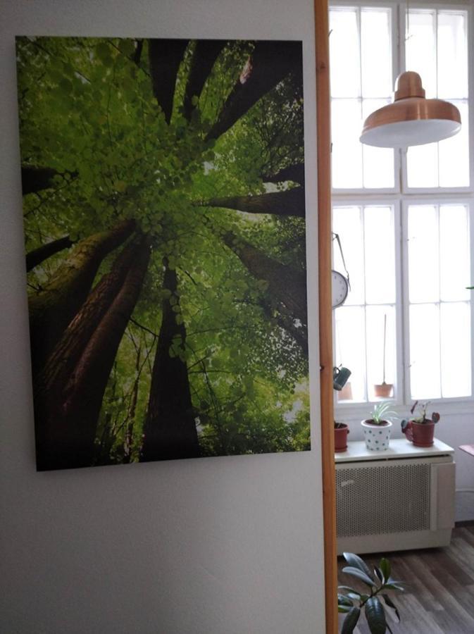 Green Dot Home โซมบ็อตเฮย์ ภายนอก รูปภาพ